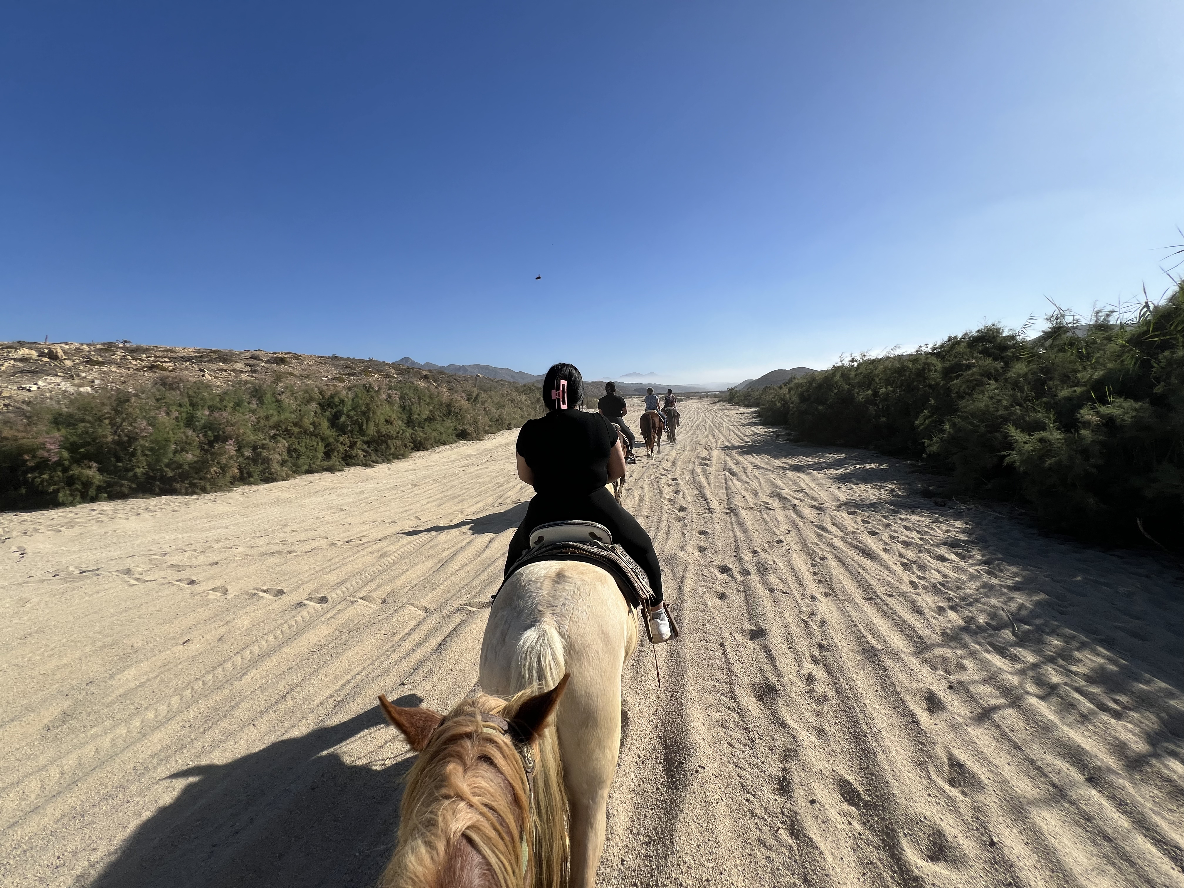 ./2024/13 - Cabo/IMG_4477.jpg